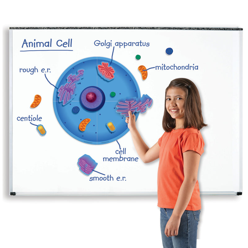Magnetic Animal Cells