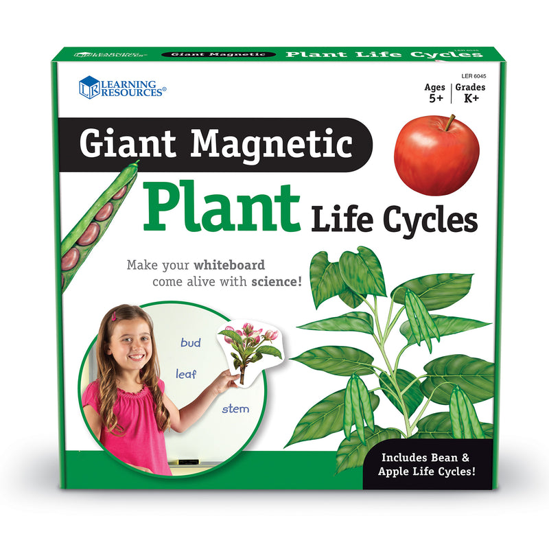 Giant Magnetic Plant Life Cycle Set, Set of 12