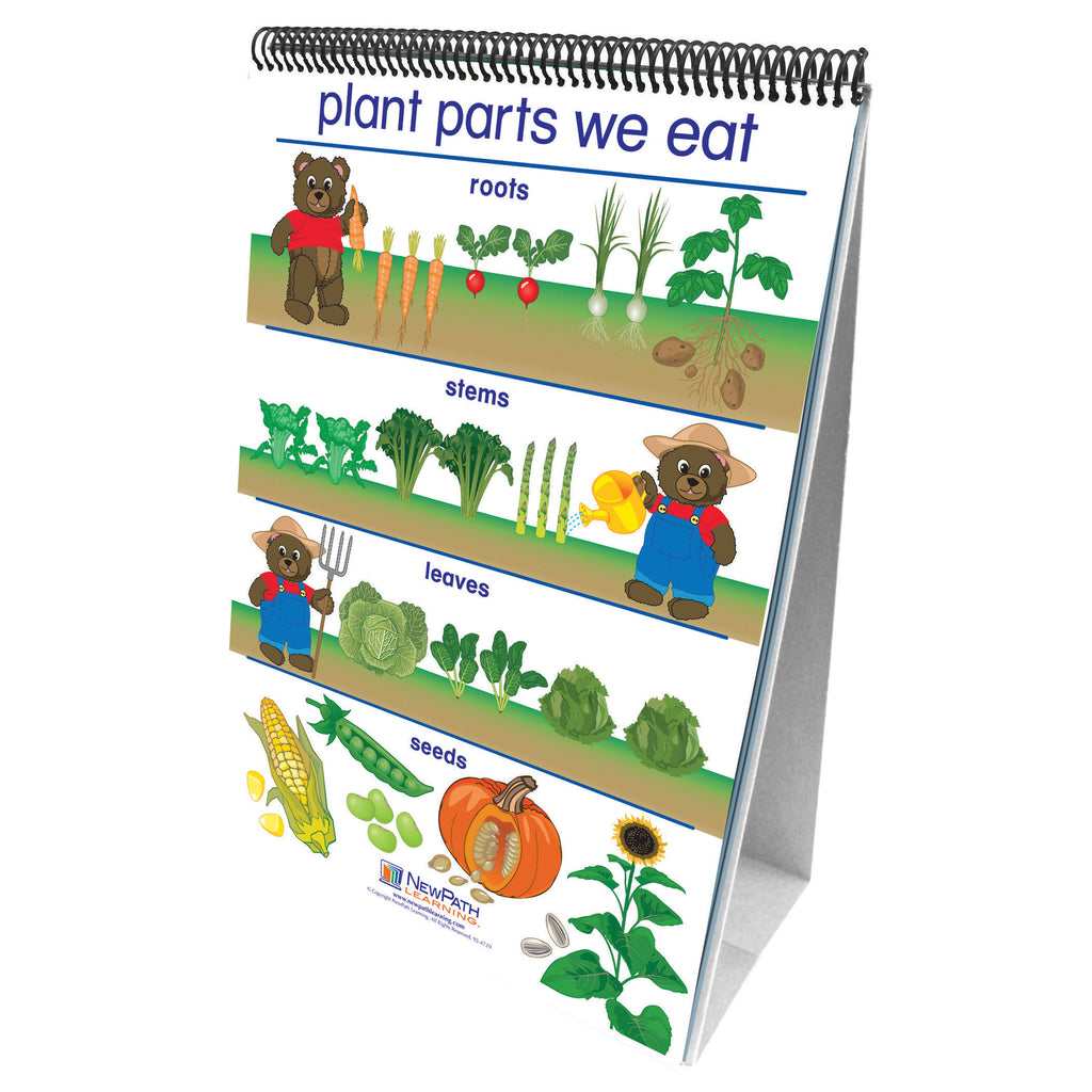 Flip Charts All About Plants Early Childhood Science Readiness