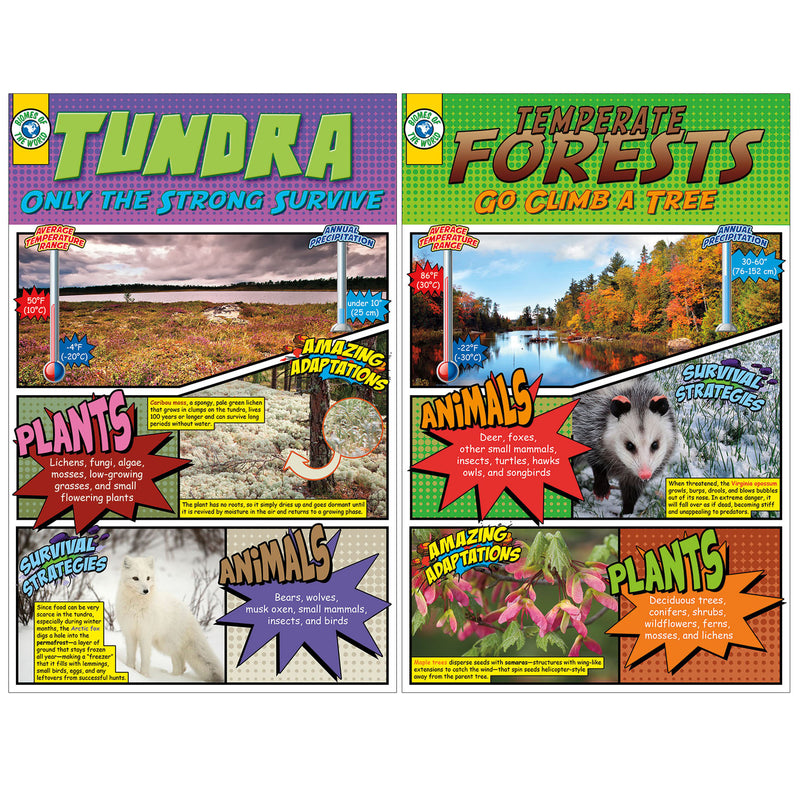 Biomes Bb Set