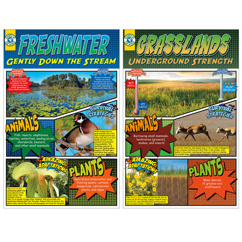 Biomes Bb Set