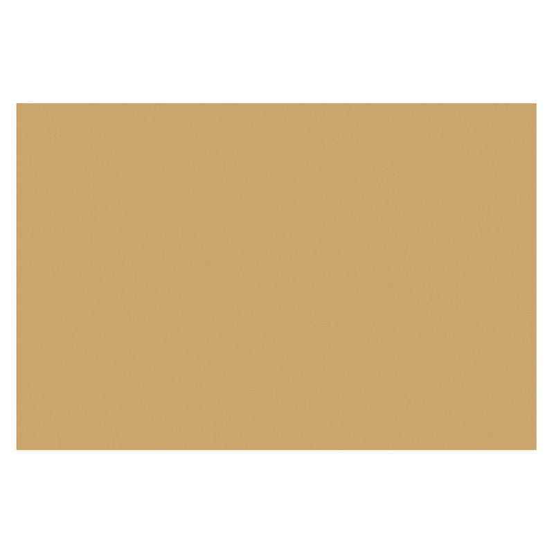 Fade-Resistant Construction Paper, Almond, 12" x 18", 50 Sheets
