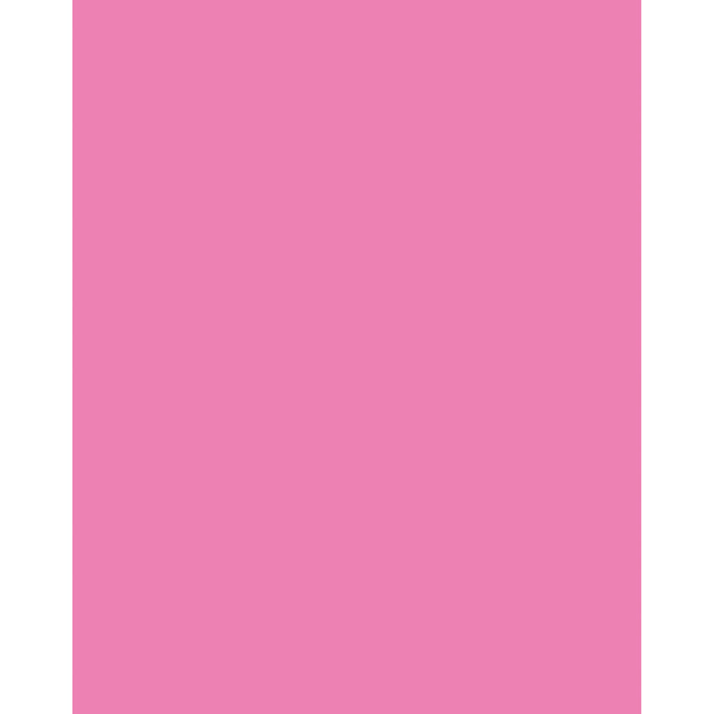 Poster Board Neon Pink 25-ct