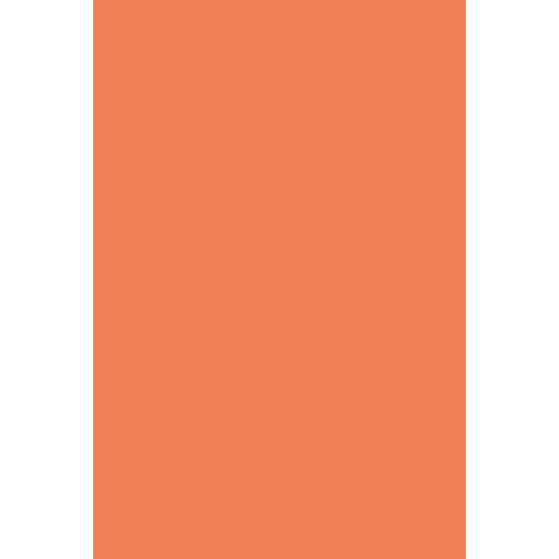 Bleeding Art Tissue Orange 24 Sheet 20x30