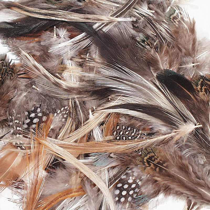(3 Pk) Natural Feathers Assorted Colors