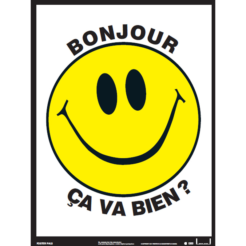 Essential Clss Posters Set 2 French