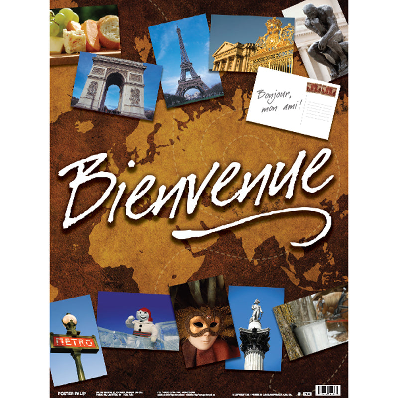 Essential Clss Posters Set 2 French