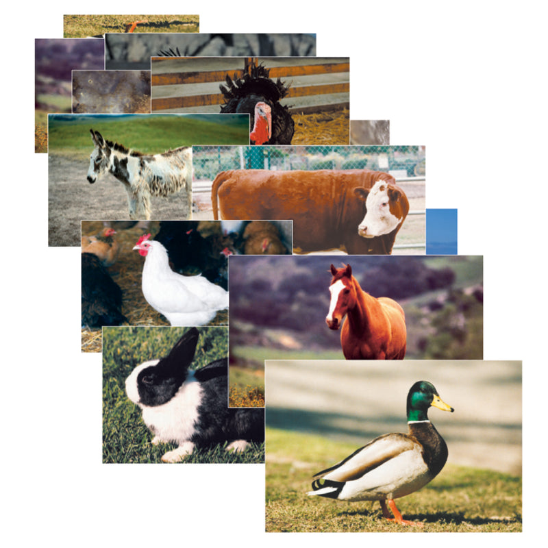 Farm Animal Poster Set Set Of 10