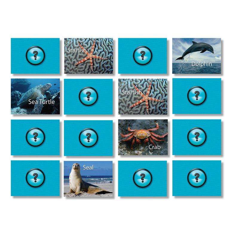 Sea Life Photographic Memory Matching Game