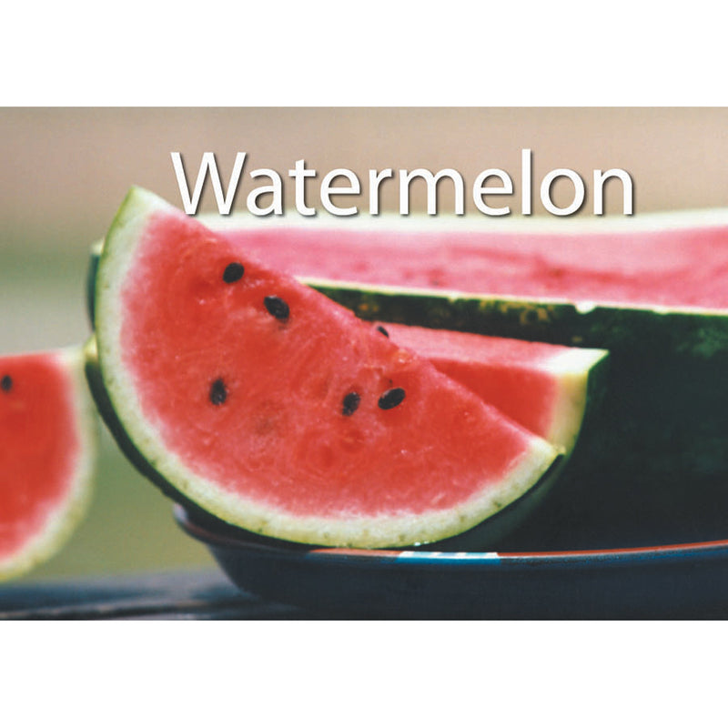 Food Photographic Memory Matching Game