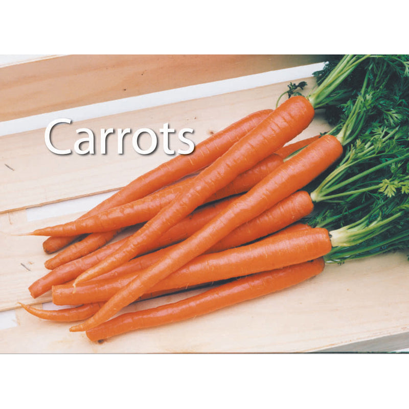 Food Photographic Memory Matching Game