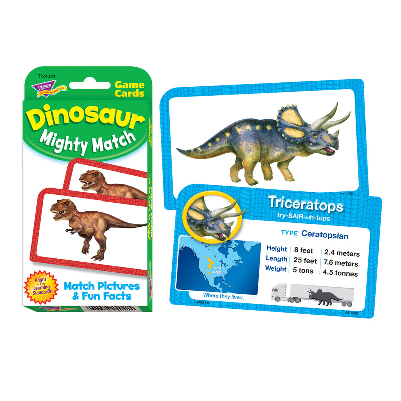 Dinosaur Mighty Match Challenge Cards