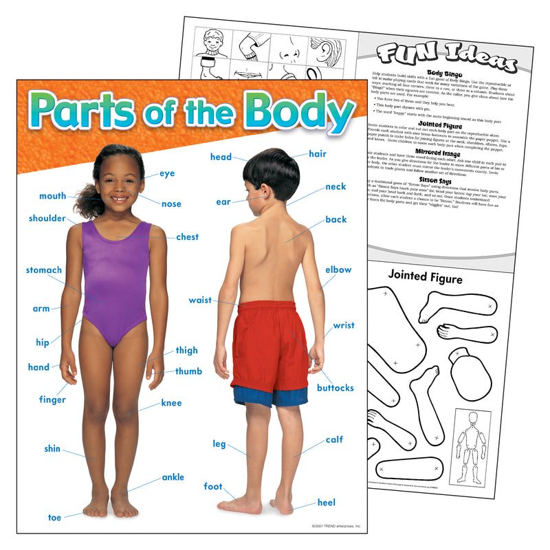 Chart Parts Of The Body