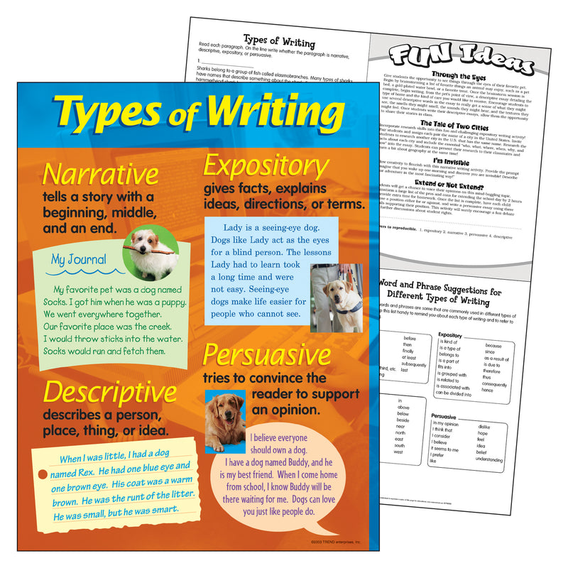 Chart Types Of Writing 17 X 22