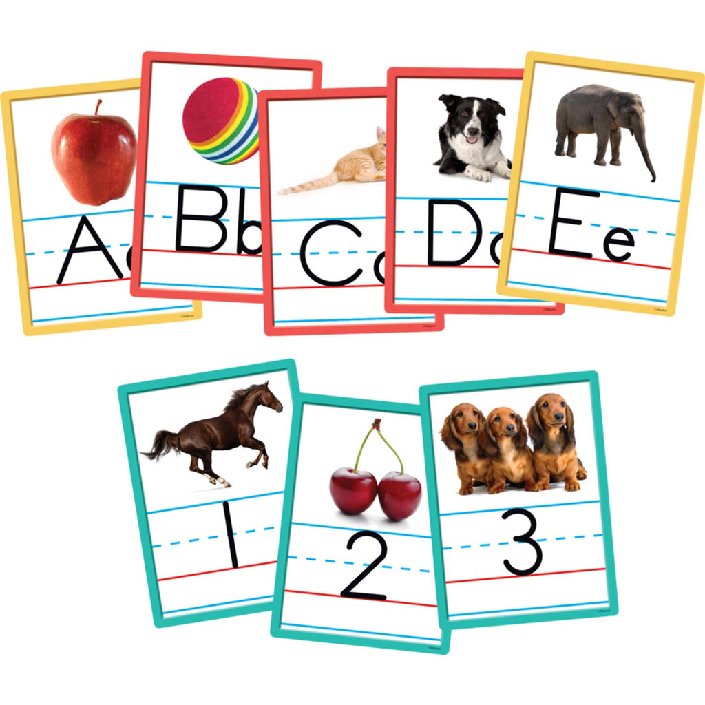 Alphabet And Numbers Accents