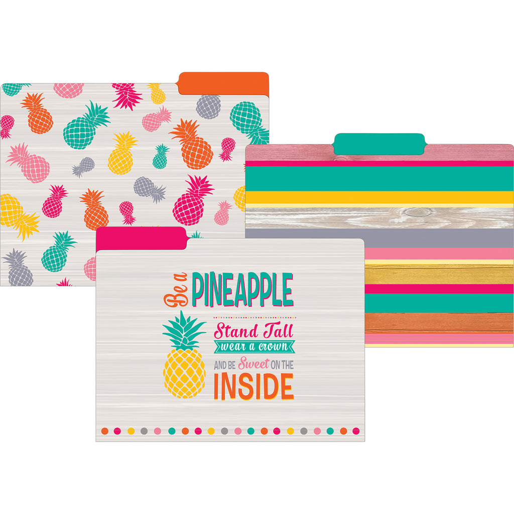 (2 Pk) Tropical Punch File Folders