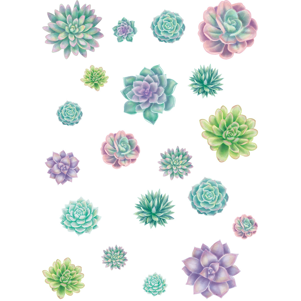 Rustic Bloom Succulents Accnts Asst Sizes