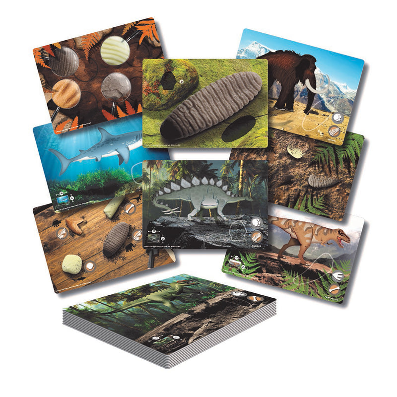 Prehistoric Teeth – Explore and Discover Activity Cards, Set of 16